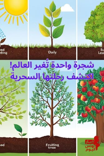 نص النفسية أولًا الرياضة تُغير أكثر من شكل جسمك 💪. 3