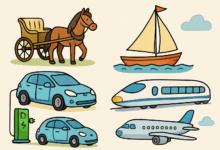 transport illustration