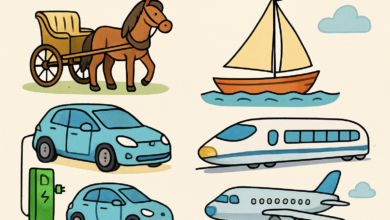 transport illustration