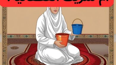أبو محجن الثقفي 3