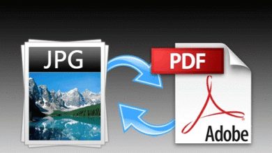 pdf