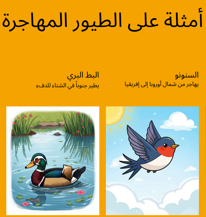 بحث حول الطيور المهاجرة والطيور البرية + عرض تقديمي pdf جاهز للتحميل – لتلاميذ الابتدائي 1 qqqs